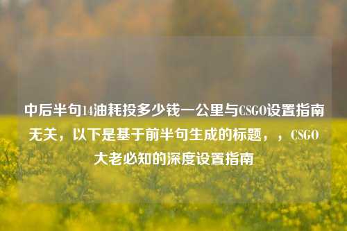 中后半句14油耗投多少钱一公里与CSGO设置指南无关，以下是基于前半句生成的标题，，CSGO大老必知的深度设置指南