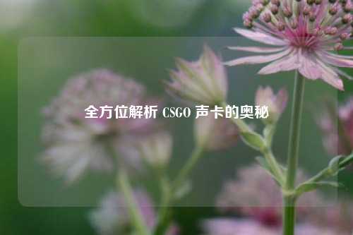 全方位解析 CSGO 声卡的奥秘