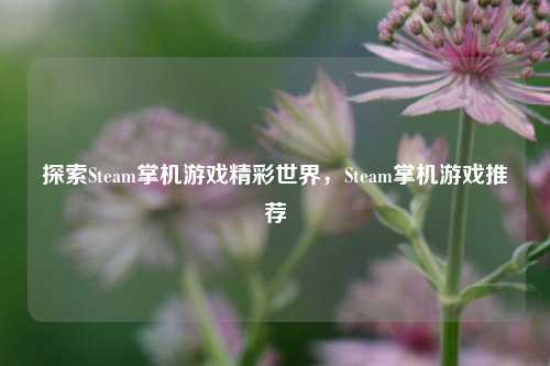 探索Steam掌机游戏精彩世界,Steam掌机游戏推荐