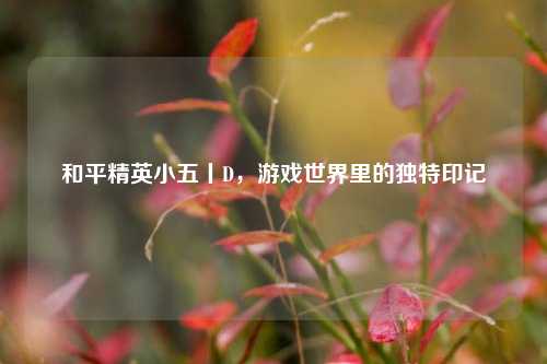 和平精英小五丨D,游戏世界里的独特印记