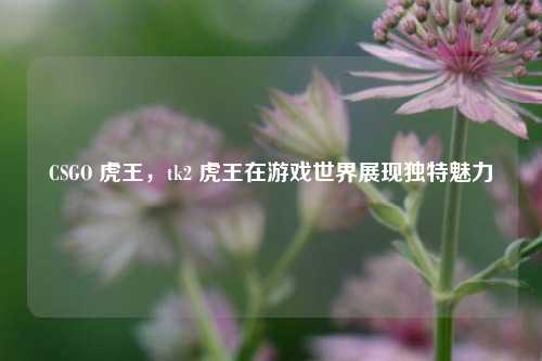 CSGO 虎王,tk2 虎王在游戏世界展现独特魅力