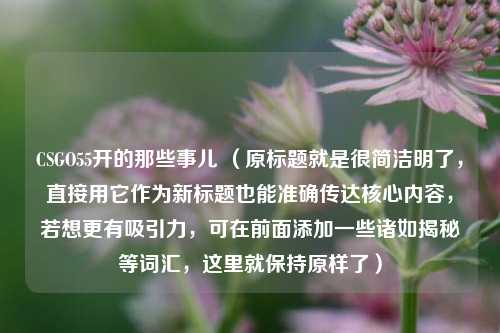 CSGO55开的那些事儿 （原标题就是很简洁明了，直接用它作为新标题也能准确传达核心内容，若想更有吸引力，可在前面添加一些诸如揭秘等词汇，这里就保持原样了）
