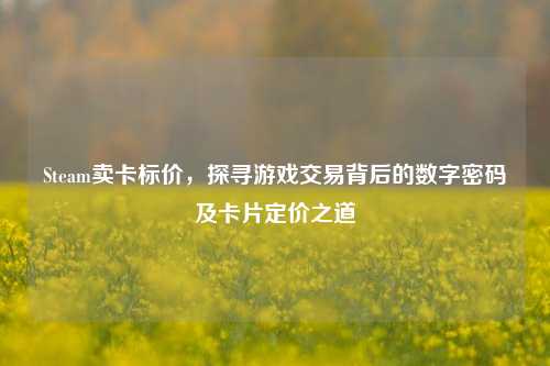 Steam卖卡标价,探寻游戏交易背后的数字密码及卡片定价之道