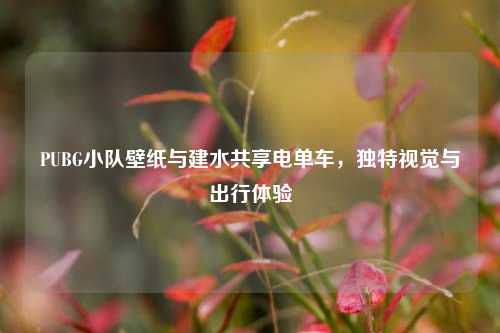 PUBG小队壁纸与建水共享电单车,独特视觉与出行体验