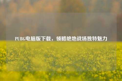 PUBG电脑版下载,领略绝地战场独特魅力