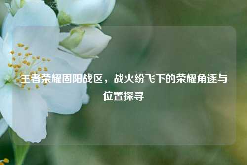 王者荣耀固阳战区，战火纷飞下的荣耀角逐与位置探寻