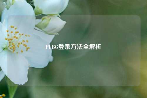 PUBG登录方法全解析
