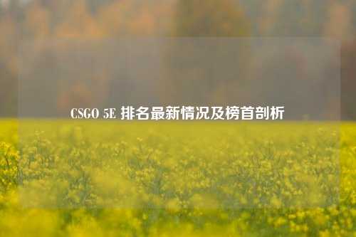 CSGO 5E 排名最新情况及榜首剖析