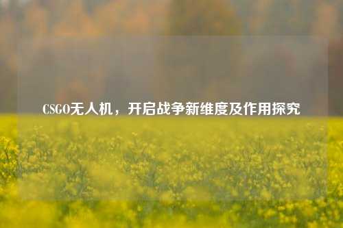 CSGO无人机,开启战争新维度及作用探究