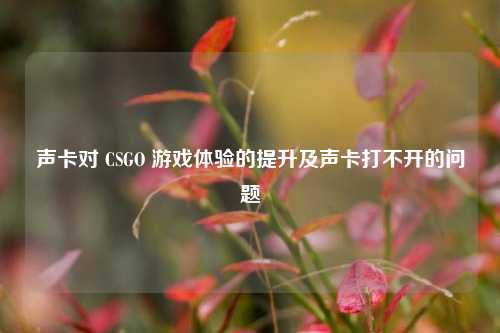 声卡对 CSGO 游戏体验的提升及声卡打不开的问题