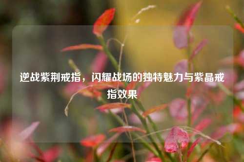 逆战紫荆戒指,闪耀战场的独特魅力与紫晶戒指效果