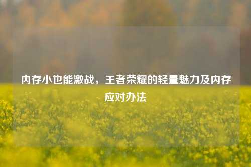 内存小也能激战,王者荣耀的轻量魅力及内存应对办法