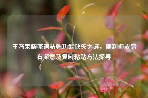 王者荣耀密语粘贴功能缺失之谜,限制抑或另有深意及复制粘贴方法探寻