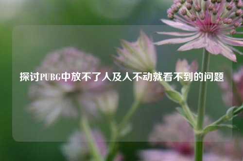 探讨PUBG中放不了人及人不动就看不到的问题