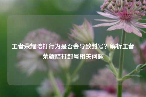 王者荣耀陪打行为是否会导致封号？解析王者荣耀陪打封号相关问题