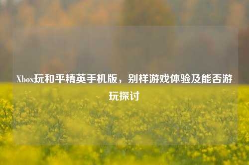 Xbox玩和平精英手机版,别样游戏体验及能否游玩探讨