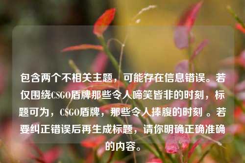 包含两个不相关主题，可能存在信息错误。若仅围绕CSGO盾牌那些令人啼笑皆非的时刻，标题可为，CSGO盾牌，那些令人捧腹的时刻 。若要纠正错误后再生成标题，请你明确正确准确的内容。