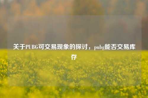 关于PUBG可交易现象的探讨,pubg能否交易库存