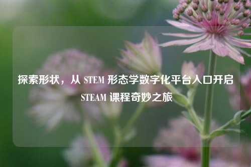 探索形状,从 STEM 形态学数字化平台入口开启 STEAM 课程奇妙之旅