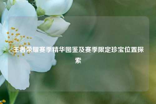 王者荣耀赛季精华图鉴及赛季限定珍宝位置探索