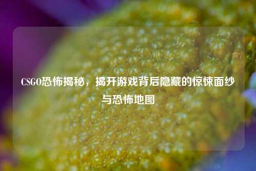 CSGO恐怖揭秘，揭开游戏背后隐藏的惊悚面纱与恐怖地图