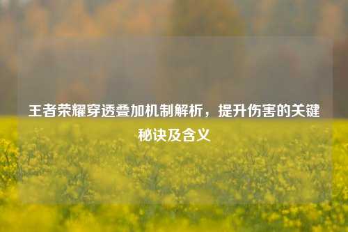 王者荣耀穿透叠加机制解析,提升伤害的关键秘诀及含义
