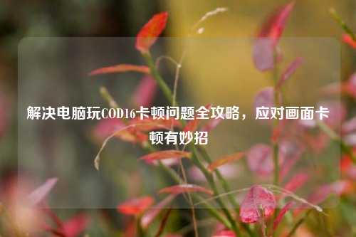 解决电脑玩COD16卡顿问题全攻略,应对画面卡顿有妙招