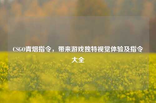 CSGO青烟指令,带来游戏独特视觉体验及指令大全