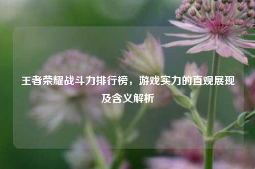 王者荣耀战斗力排行榜,游戏实力的直观展现及含义解析