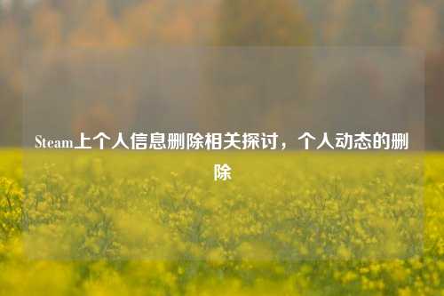 Steam上个人信息删除相关探讨，个人动态的删除