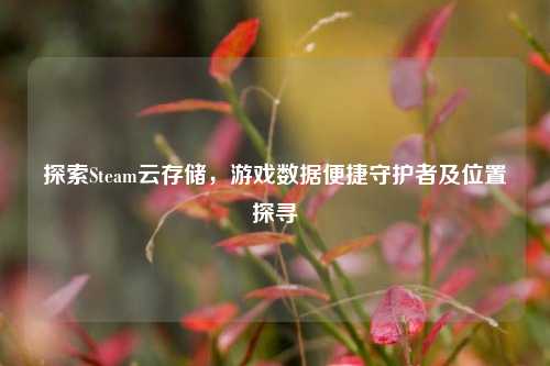 探索Steam云存储，游戏数据便捷守护者及位置探寻