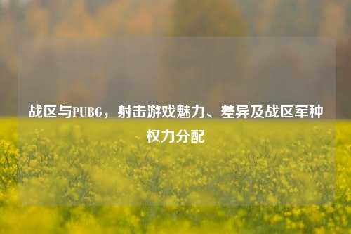 战区与PUBG,射击游戏魅力、差异及战区军种权力分配