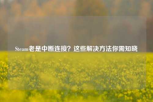 Steam老是中断连接?这些解决方法你需知晓