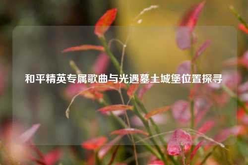 和平精英专属歌曲与光遇墓土城堡位置探寻