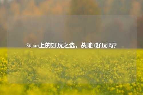 Steam上的好玩之选,战地1好玩吗?