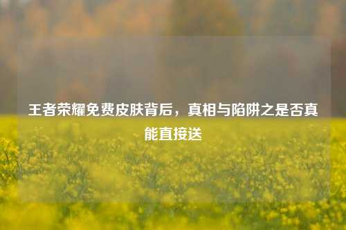 王者荣耀免费皮肤背后,真相与陷阱之是否真能直接送
