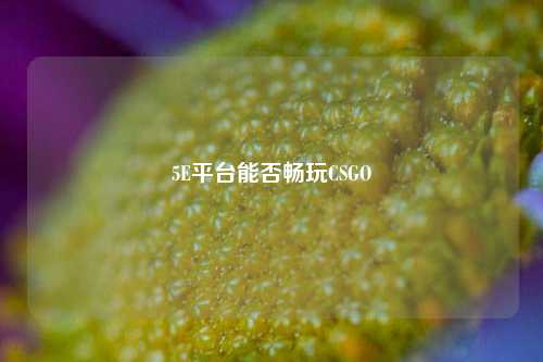 5E平台能否畅玩CSGO