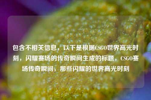包含不相关信息,以下是根据CSGO世界高光时刻,闪耀赛场的传奇瞬间生成的标题,CSGO赛场传奇瞬间,那些闪耀的世界高光时刻
