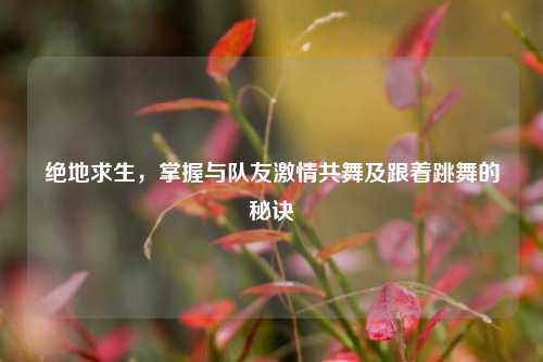 绝地求生,掌握与队友激情共舞及跟着跳舞的秘诀