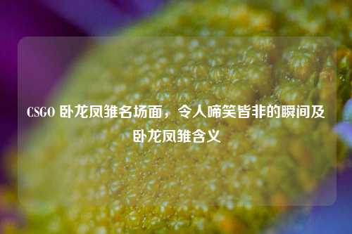 CSGO 卧龙凤雏名场面，令人啼笑皆非的瞬间及卧龙凤雏含义