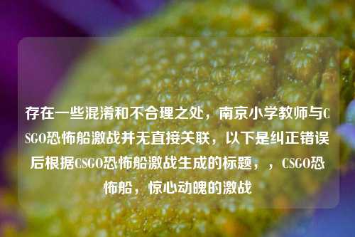 存在一些混淆和不合理之处,南京小学教师与CSGO恐怖船激战并无直接关联,以下是纠正错误后根据CSGO恐怖船激战生成的标题,,CSGO恐怖船,惊心动魄的激战