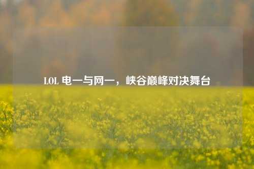 LOL 电一与网一,峡谷巅峰对决舞台