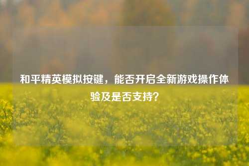和平精英模拟按键,能否开启全新游戏操作体验及是否支持?