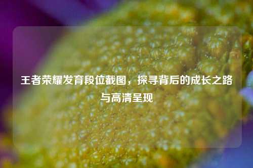 王者荣耀发育段位截图，探寻背后的成长之路与高清呈现