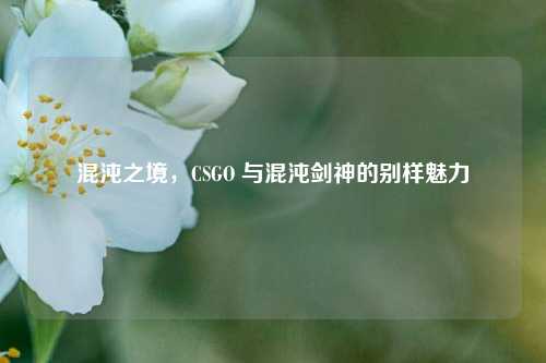 混沌之境,CSGO 与混沌剑神的别样魅力