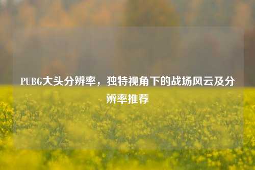 PUBG大头分辨率,独特视角下的战场风云及分辨率推荐