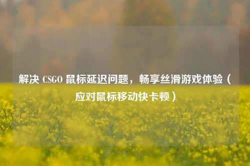 解决 CSGO 鼠标延迟问题,畅享丝滑游戏体验(应对鼠标移动快卡顿)