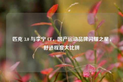 匹克 3.0 与李宁 CF，国产运动品牌闪耀之星，舒适程度大比拼