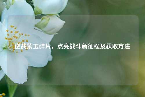 逆战紫玉碎片,点亮战斗新征程及获取方法