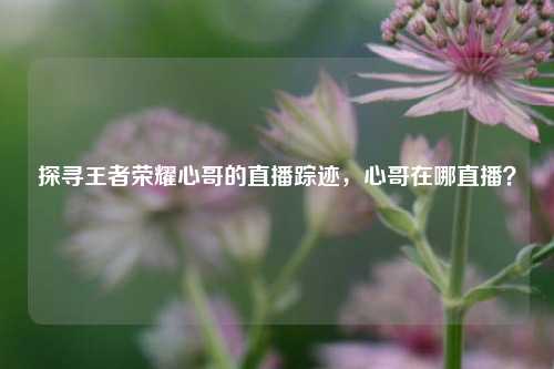 探寻王者荣耀心哥的直播踪迹,心哥在哪直播?